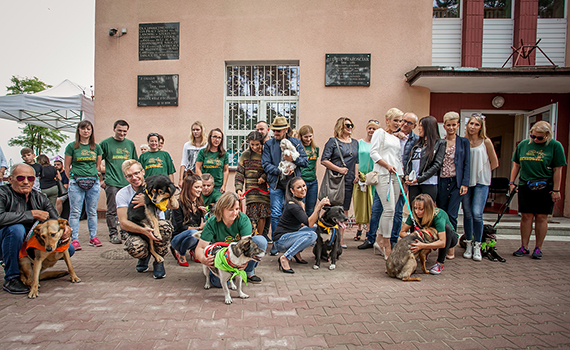 STIVALI supports dogs from the animal shelter in Milanówek